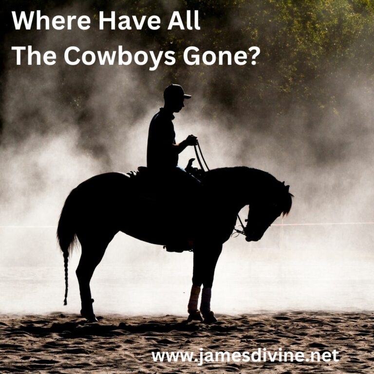 Where Have All The Cowboys Gone? James Divine Motivational Speaker